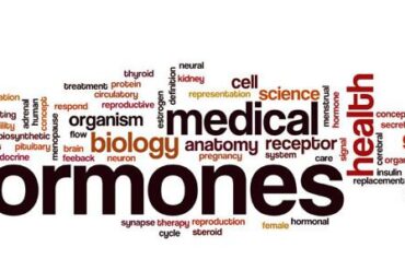 3 oli essenziali per bilanciare gli ormoni