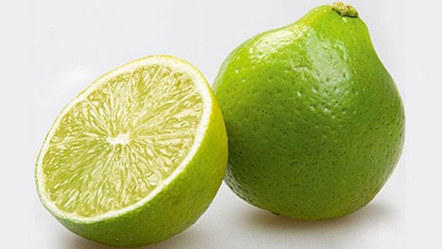 10 facili usi dell’olio essenziale di Bergamotto