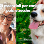 miscele naturali contro pulci e zecche