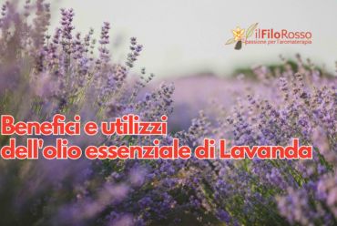 Benefici  e utilizzi dell’olio essenziale di Lavanda