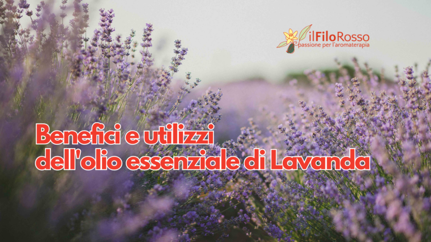 Benefici  e utilizzi dell’olio essenziale di Lavanda