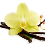 Olio essenziale di vaniglia