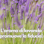 L'aroma di lavanda promuove la fiducia!