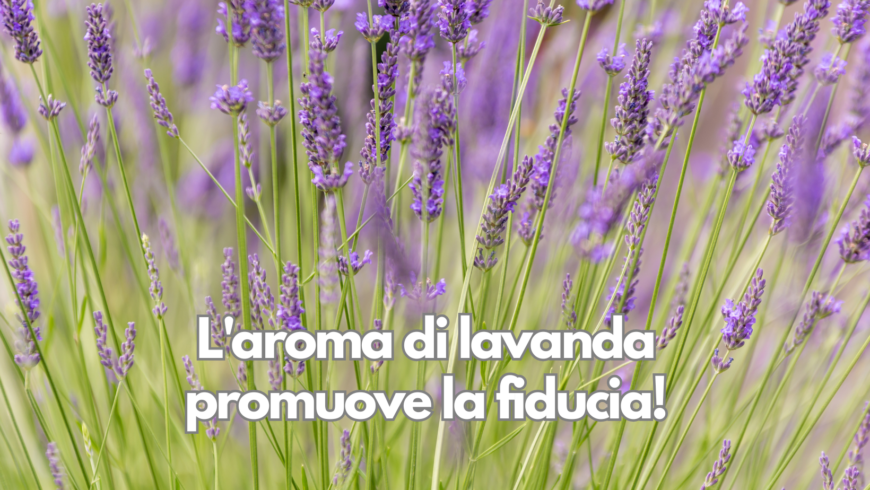 L’aroma di lavanda promuove la fiducia!