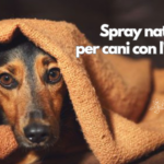 Spray naturale per cani con l'ansia