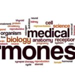 3 oli essenziali per bilanciare gli ormoni