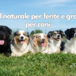 Gel naturale per ferite e graffi per cani