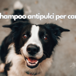Shampoo antipulci per cani