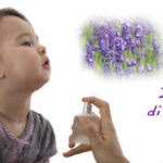 Idrolato lavanda