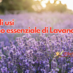 10 facili usi dell'olio essenziale di Lavanda