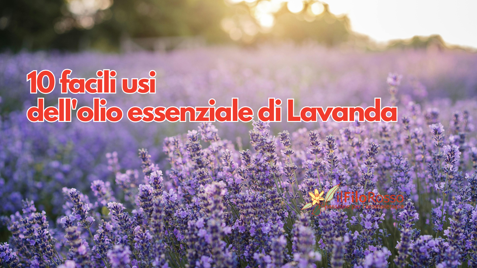 10 facili usi dell’olio essenziale di Lavanda