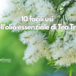 10 facili usi dell'olio essenziale di Tea Tree