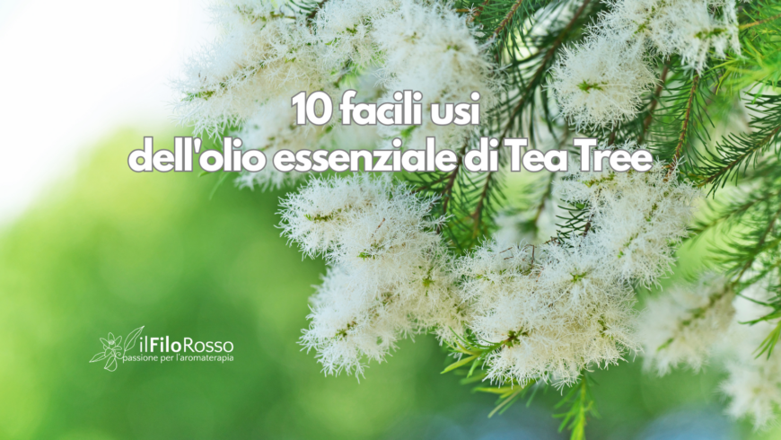 10 facili usi dell’olio essenziale di Tea Tree