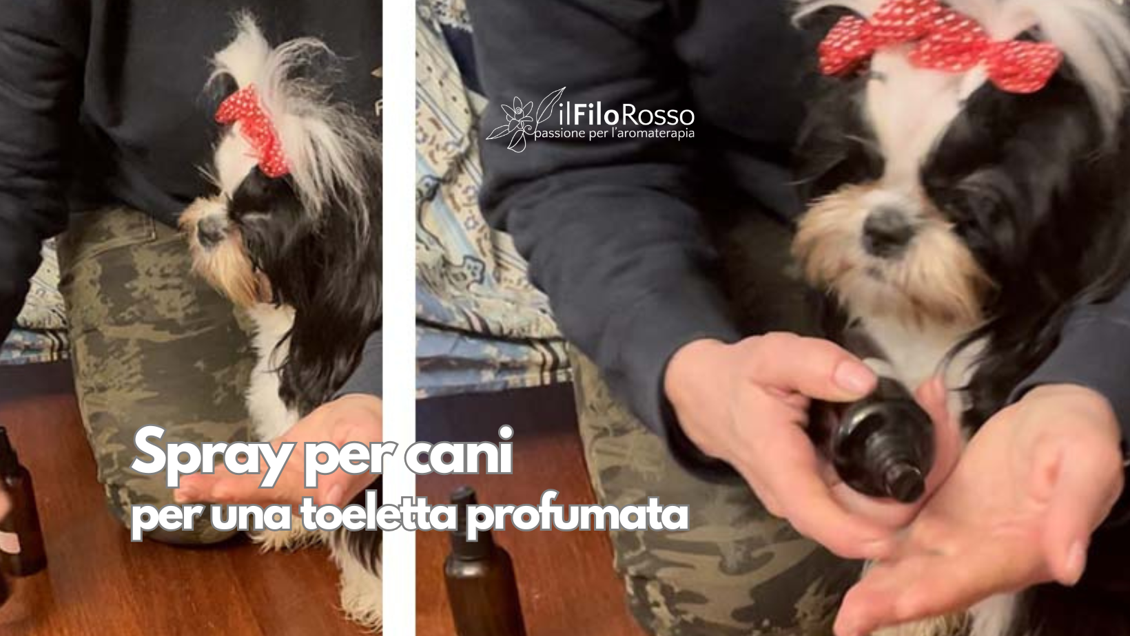Spray per cani per una toeletta profumata
