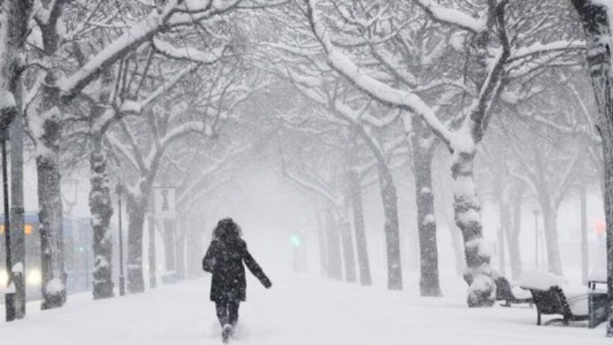 Oli essenziali contro influenza e raffreddore: i tuoi alleati naturali