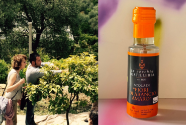 La raccolta e distillazione dei fiori di arancio amaro