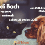 Fiori di Bach per il benessere dei nostri animali