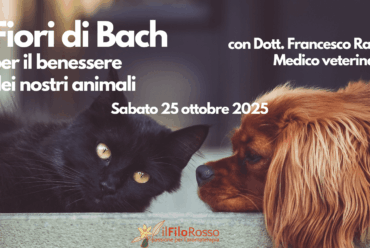 Fiori di Bach per il benessere dei nostri animali