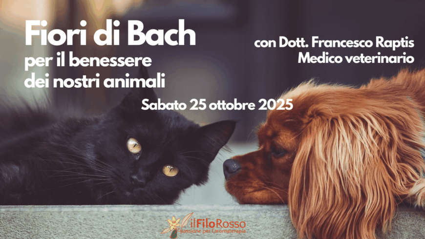 Fiori di Bach per il benessere dei nostri animali