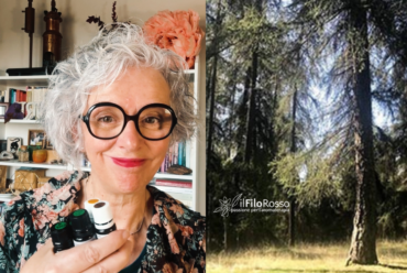 Oli essenziali per l’autunno