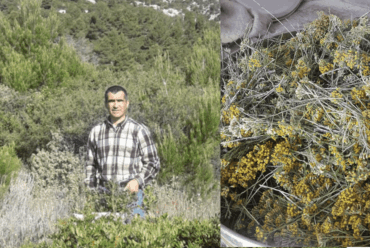 Distillatori Italiani: Romeo Loddo – Sardegna