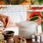 Oli essenziali da non usare con cani e gatti