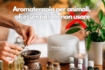 Aromaterapia per animali, oli essenziali da non usare