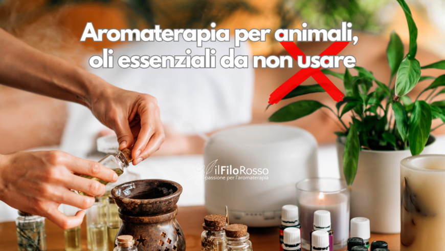 Aromaterapia per animali, oli essenziali da non usare