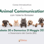 Corso Animal Comunicatori 2026