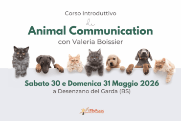Corso Introduttivo di Animal Communication 