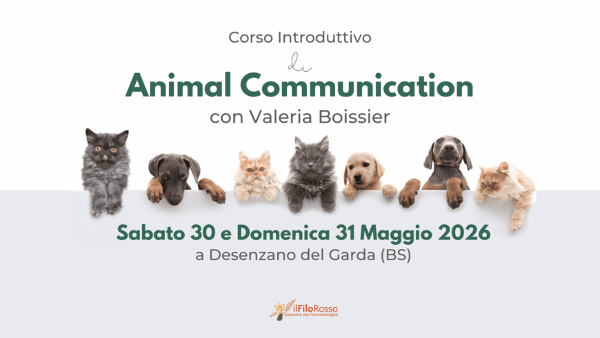 Corso Introduttivo di Animal Communication 
