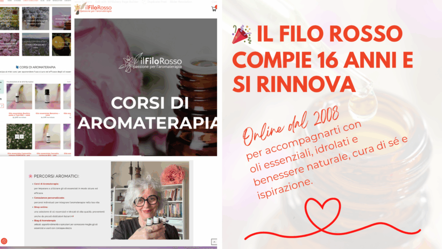 🎉 16 anni online… e un nuovo inizio