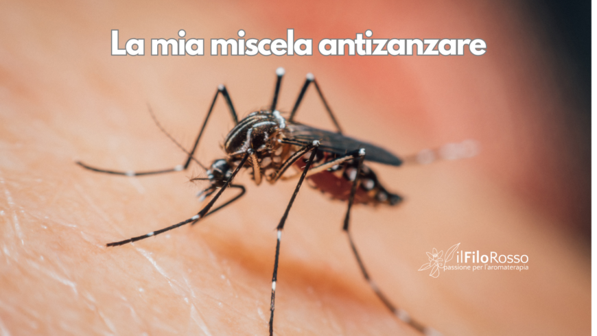 La mia miscela antizanzare