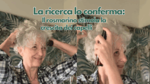 La ricerca lo conferma: Il rosmarino stimola la crescita dei capelli.