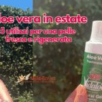 Aloe vera in estate