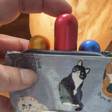 Pochette gatti