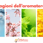Corsi: Le stagioni dell’aromaterapia