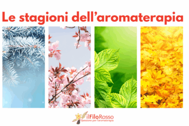 Le stagioni dell’aromaterapia