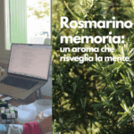 Rosmarino e memoria: un aroma che risveglia la mente