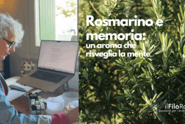 Rosmarino e memoria: un aroma che risveglia la mente