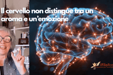 Il cervello non distingue tra un aroma e un’emozione