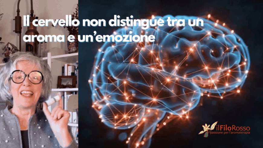 Il cervello non distingue tra un aroma e un’emozione