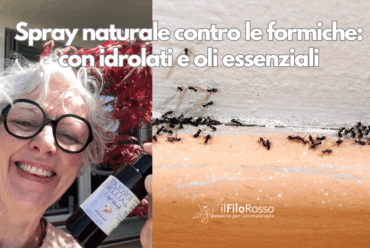 Spray naturale contro le formiche: con idrolati e oli essenziali