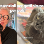 OLI ESSENZIALI PER GATTI