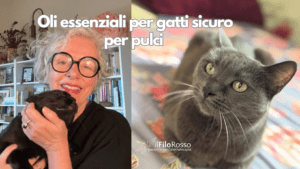 OLI ESSENZIALI PER GATTI