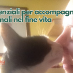 Oli essenziali per accompagnare gli animali nel fine vita