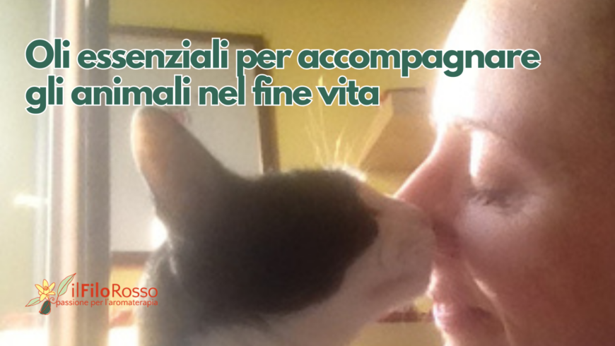 Oli essenziali per accompagnare gli animali nel fine vita