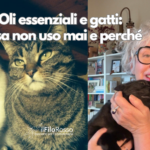 Oli essenziali e gatti: cosa non uso mai e perché