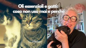 Oli essenziali e gatti: cosa non uso mai e perché