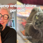 Spray antipulci sicuro per gatti